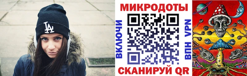 Псилоцибиновые грибы Psilocybine cubensis Яхрома