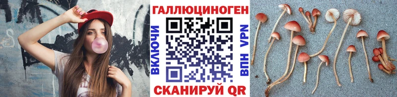 Галлюциногенные грибы прущие грибы  Яхрома 